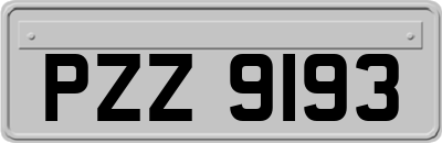 PZZ9193