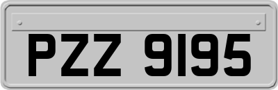 PZZ9195