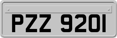 PZZ9201