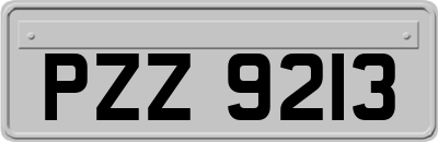 PZZ9213