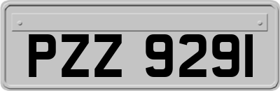 PZZ9291