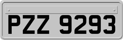 PZZ9293