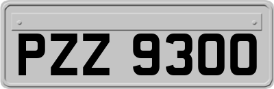 PZZ9300