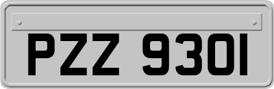 PZZ9301