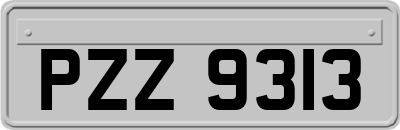 PZZ9313