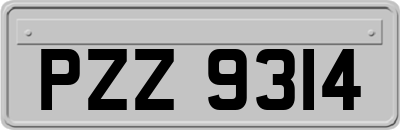 PZZ9314