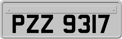 PZZ9317