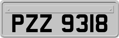 PZZ9318