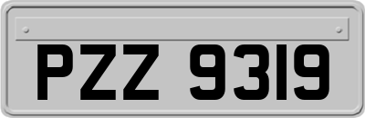 PZZ9319