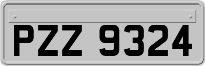 PZZ9324