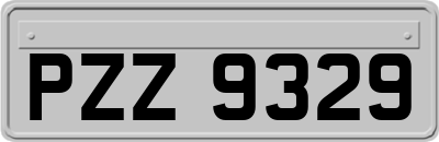 PZZ9329