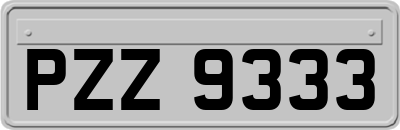 PZZ9333