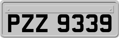 PZZ9339