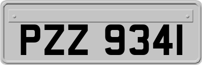 PZZ9341