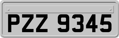 PZZ9345