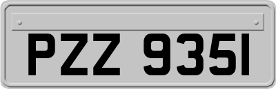 PZZ9351