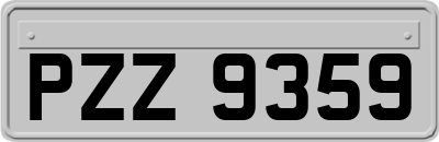 PZZ9359