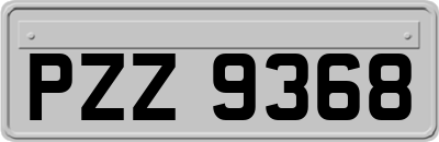 PZZ9368