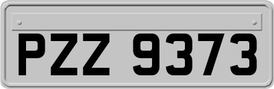 PZZ9373