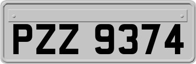 PZZ9374