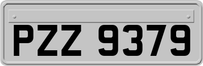 PZZ9379