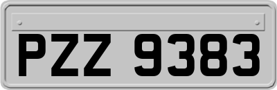 PZZ9383