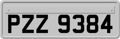 PZZ9384