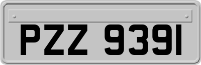 PZZ9391