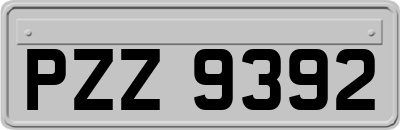 PZZ9392