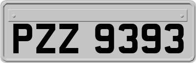 PZZ9393