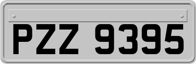 PZZ9395