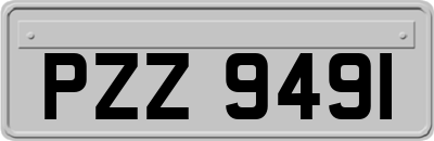 PZZ9491