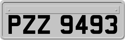 PZZ9493