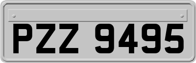 PZZ9495