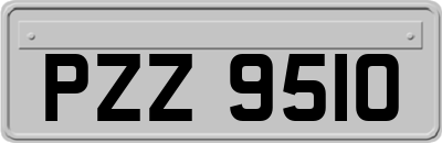 PZZ9510