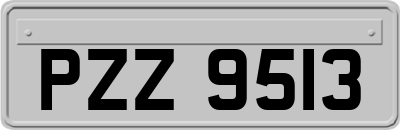 PZZ9513