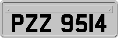 PZZ9514