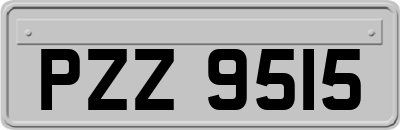 PZZ9515