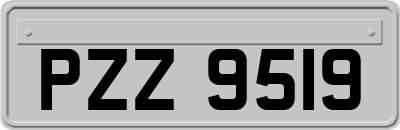 PZZ9519