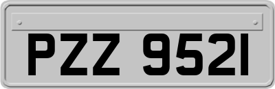 PZZ9521