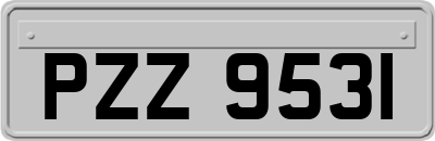 PZZ9531