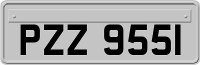 PZZ9551