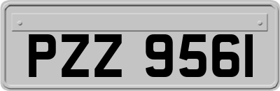 PZZ9561