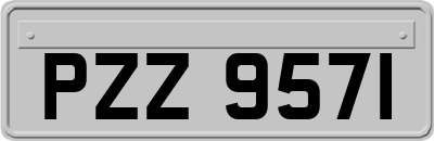 PZZ9571