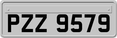 PZZ9579