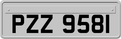 PZZ9581