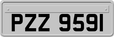 PZZ9591