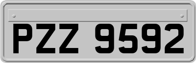 PZZ9592