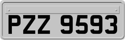 PZZ9593