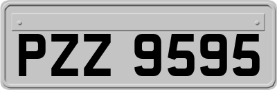 PZZ9595